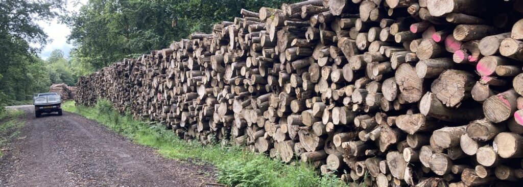 Cordwood stacked high along a woodland track near Amberley, with the Southdowns Firewood truck in the distance